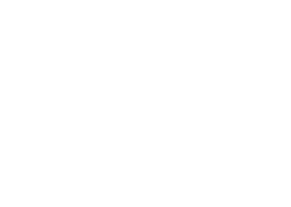 Turning Stone Enterprises Home